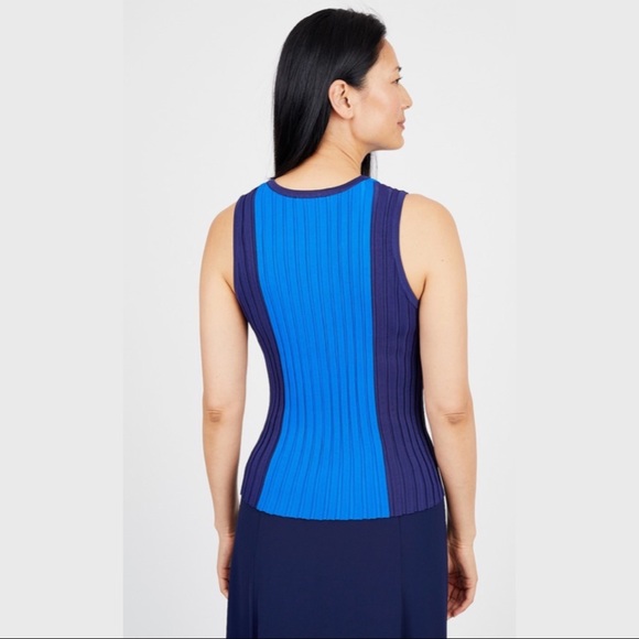 Ava Color Block Sweater Tank - Picture 4 of 5